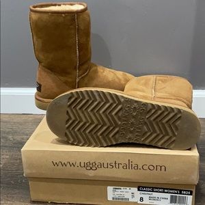 Women’s chestnut ugg boots